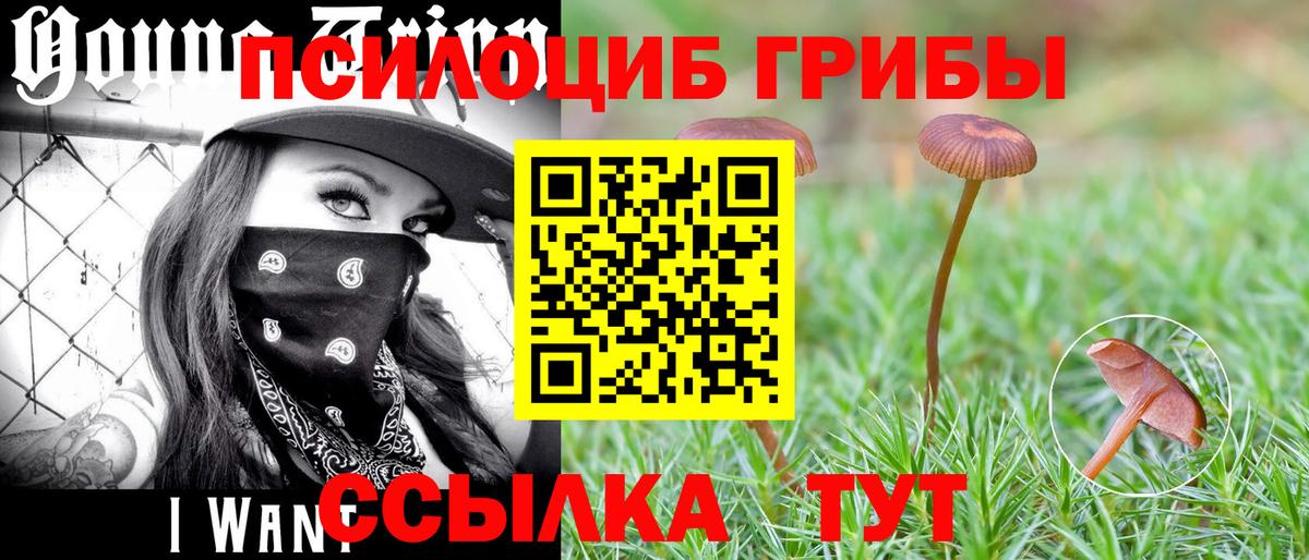 Галлюциногенные грибы GOLDEN TEACHER Альметьевск