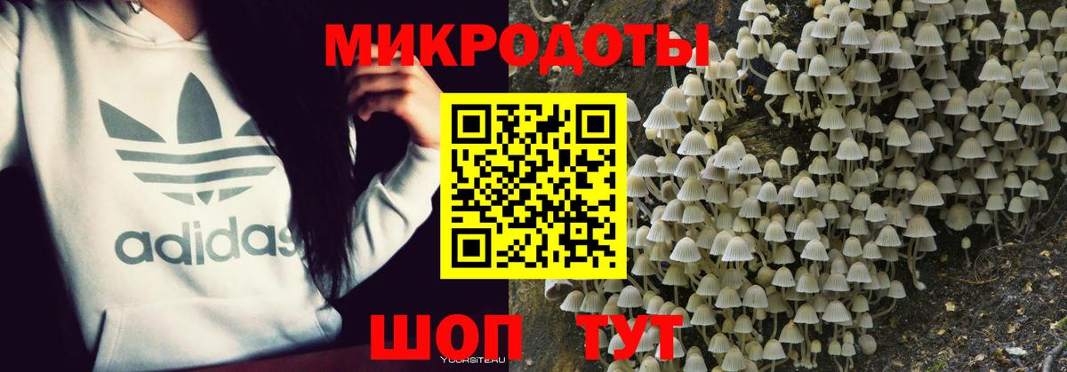 НБОМе Альметьевск