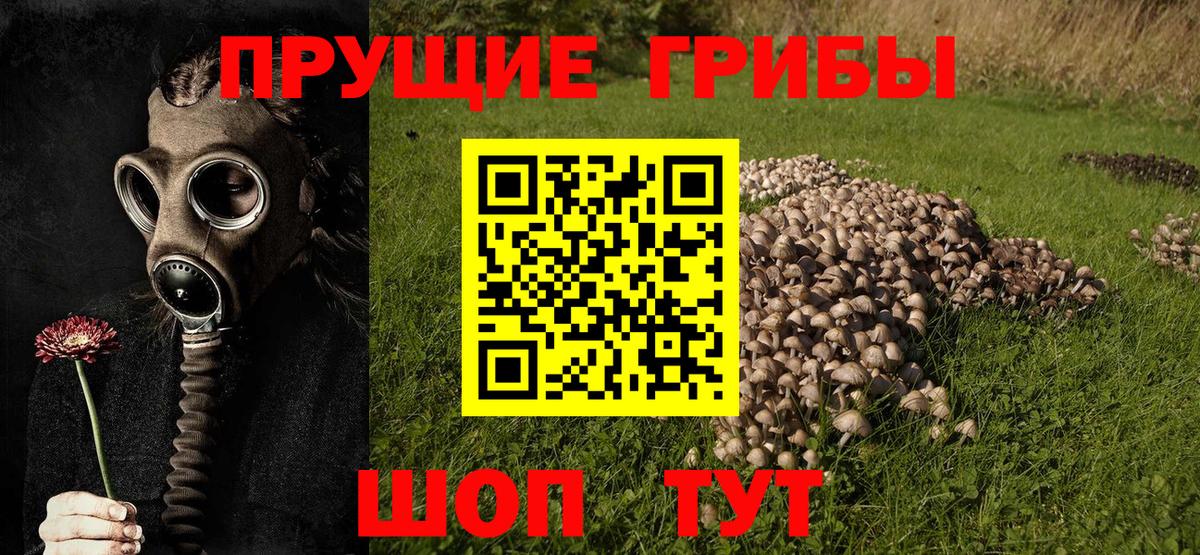 Альметьевск  Галлюциногенные грибы MAGIC MUSHROOMS  Вход с VPN  Галлюциногенные грибы Magic Shrooms 